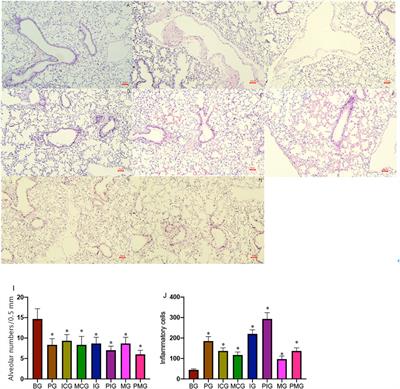 Paraquat Induces Lung Injury via miR-199-Mediated SET in a Mouse Model